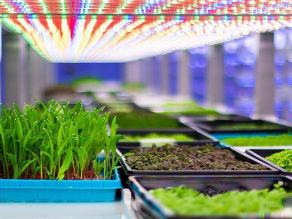 LED植物灯、LED种植灯，多种选择